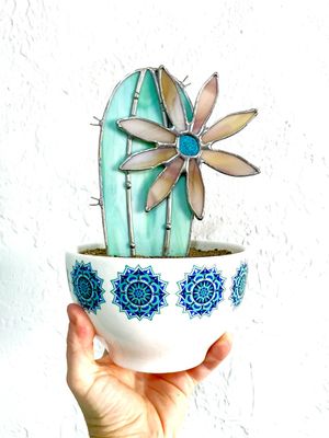 Cereus Bloomer - local pickup only