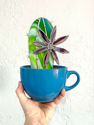Cereus Bloomer - local pickup only