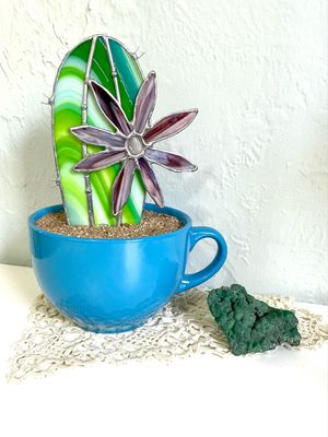 Cereus Bloomer - local pickup only