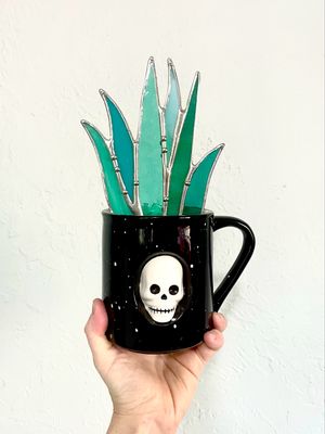 Flat Aloe in Skull Mug