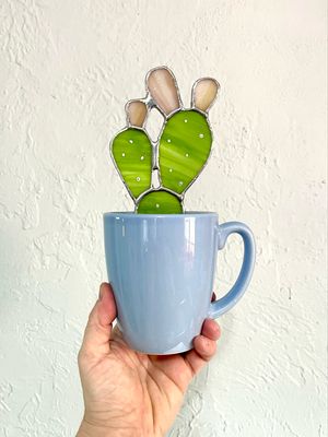 Lime and Blue Prickly Pear with Fruits
