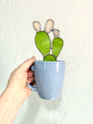 Lime and Blue Prickly Pear with Fruits