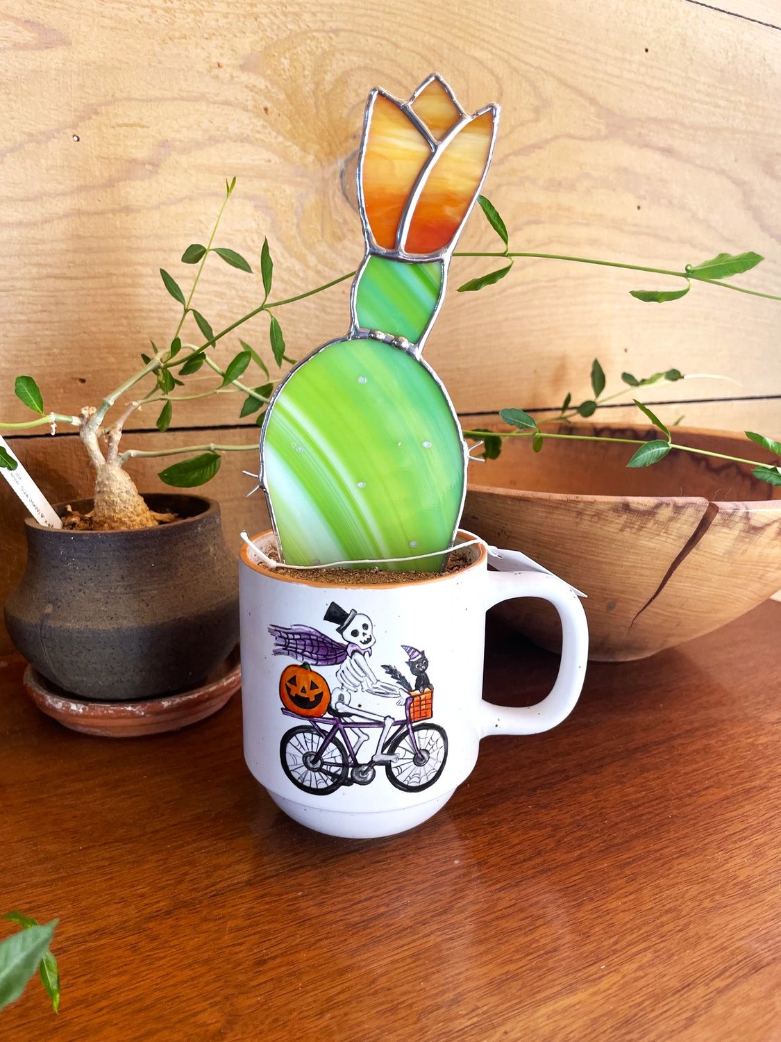 Cyclist Blooming Prickly Pear