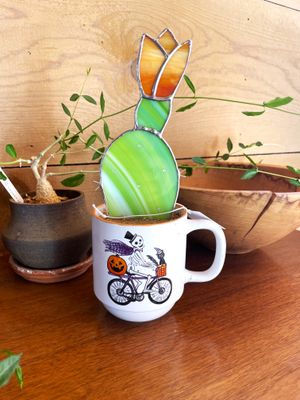 Cyclist Blooming Prickly Pear