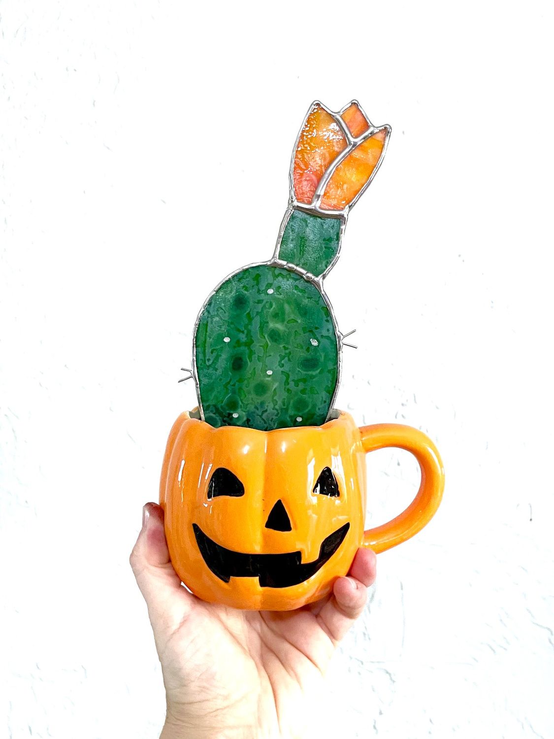 Jack O'Lantern Blooming Prickly Pear