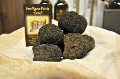 TARTUFO NERO UNCINATO  (Tuber Uncinatum VItt)