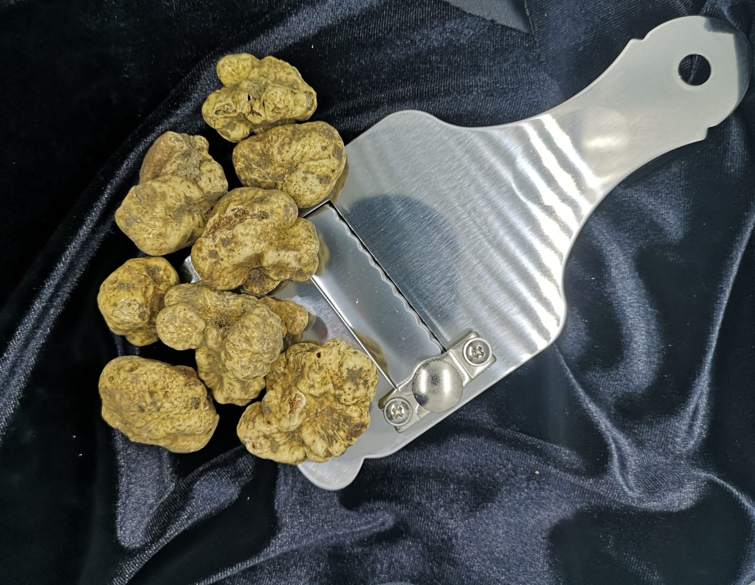 Tartufo Bianco Pregiato piccolo (Tuber Magnatum Pico)
