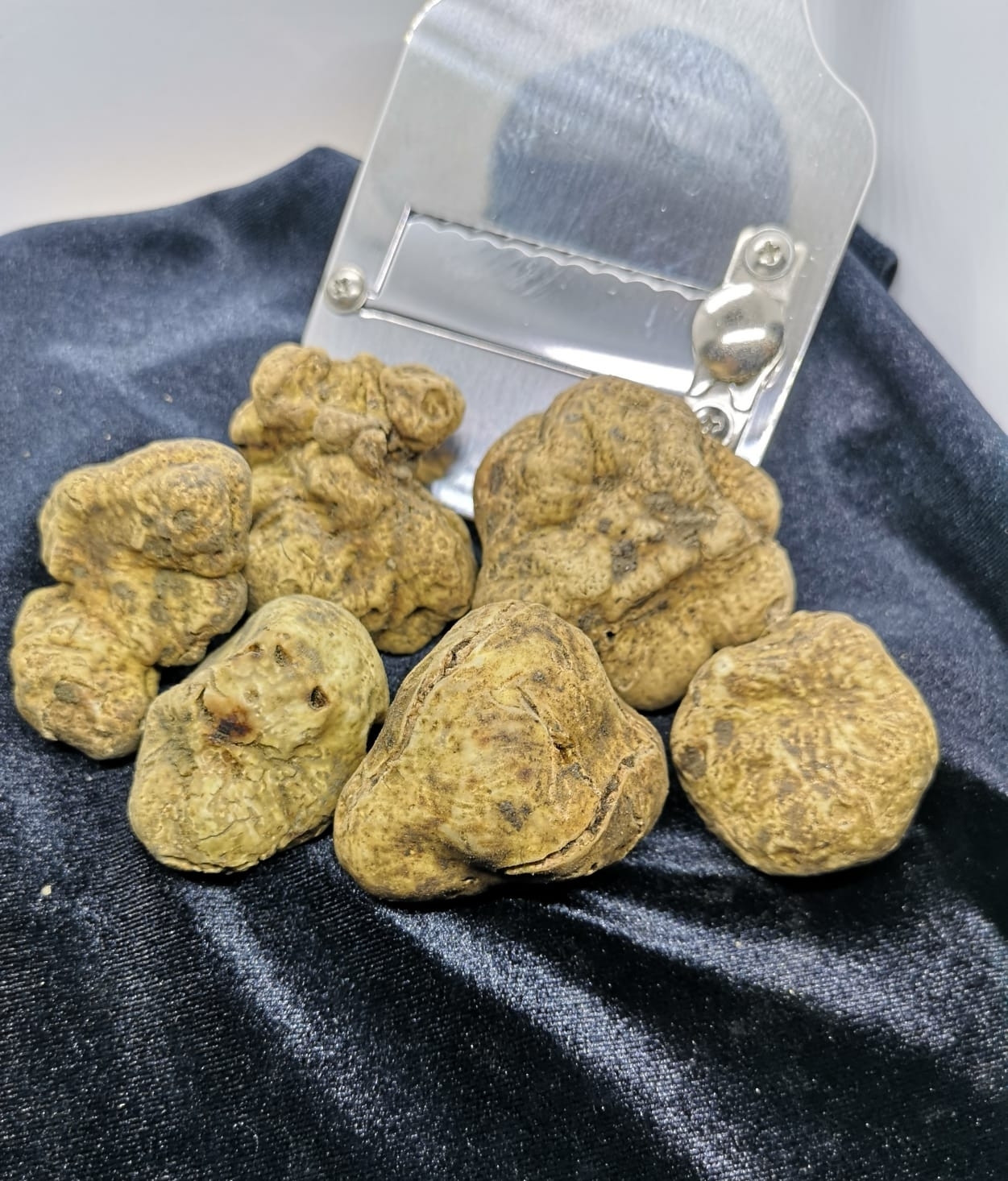 Tartufo Bianco Pregiato Scelto (Tuber Magnatum Pico)