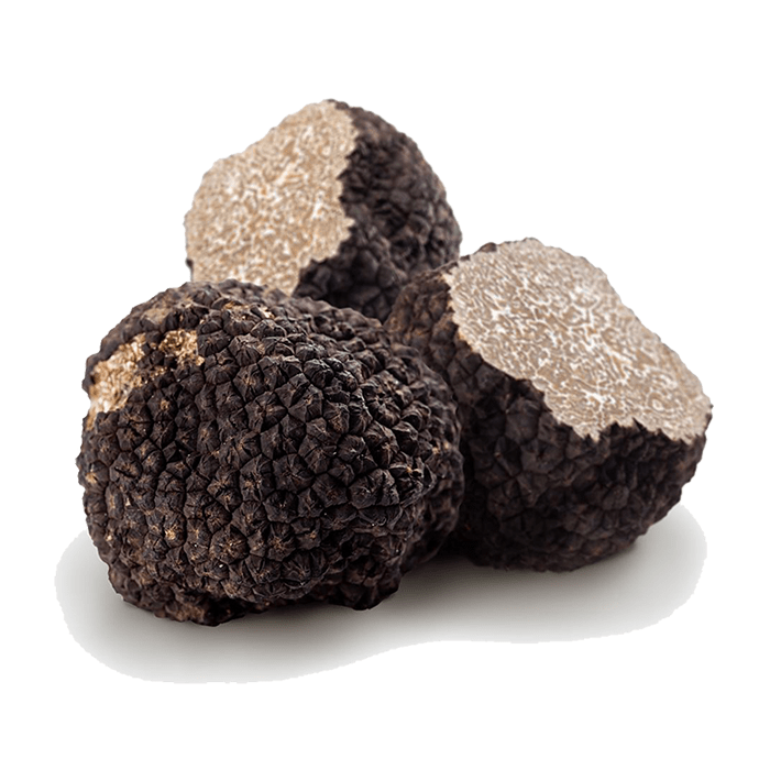 100 gr. TARTUFO NERO ESTIVO "SCORZONE" (Tuber Aestivum VItt)