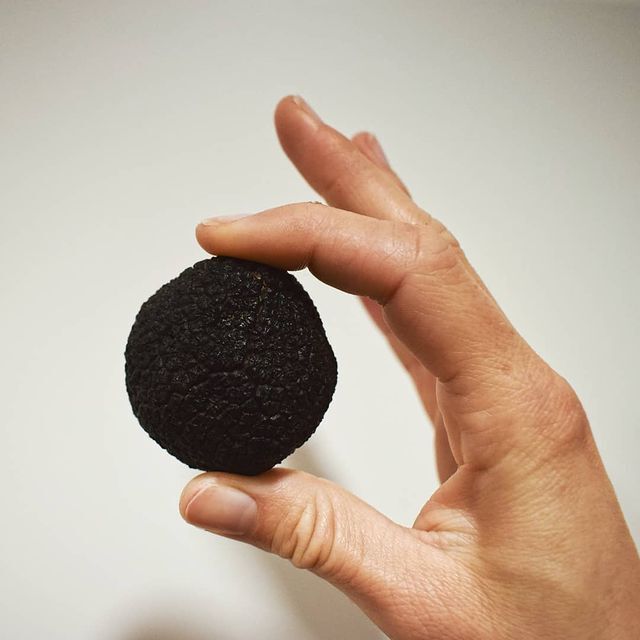 100gr Tartufo Nero Pregiato EXTRA(Tuber Melanosporum Vitt)
