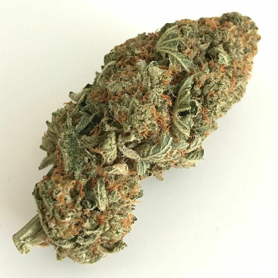 Gorilla glue [1 Oz]