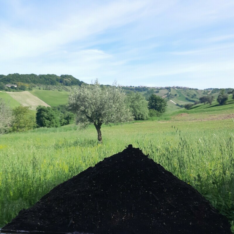 ORTO MIRR 200L
