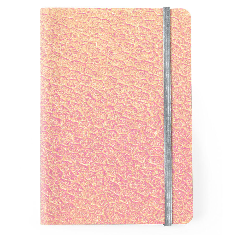 LIBRETA SUMMER A5 100HJ MOD.N21-1 BEIGE C/LIGA LIBRETA SUMMER A5 100HJ MOD.N21-1 BEIGE C/LIGA
