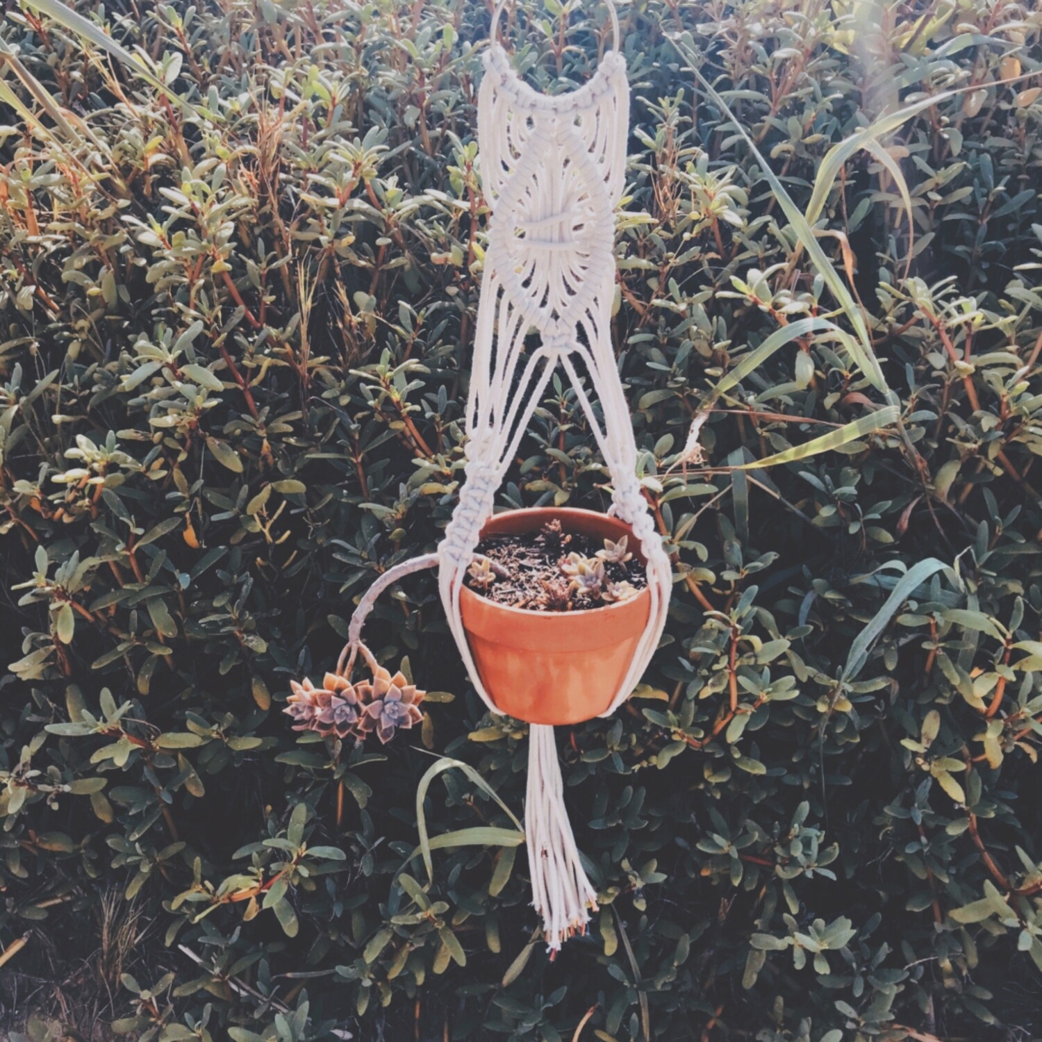 Diamond Planter