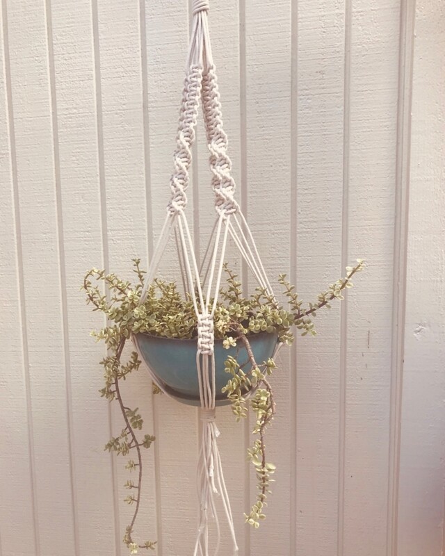 Medium Planter