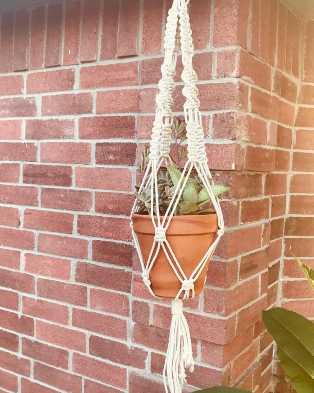 Large Outdoor Planter