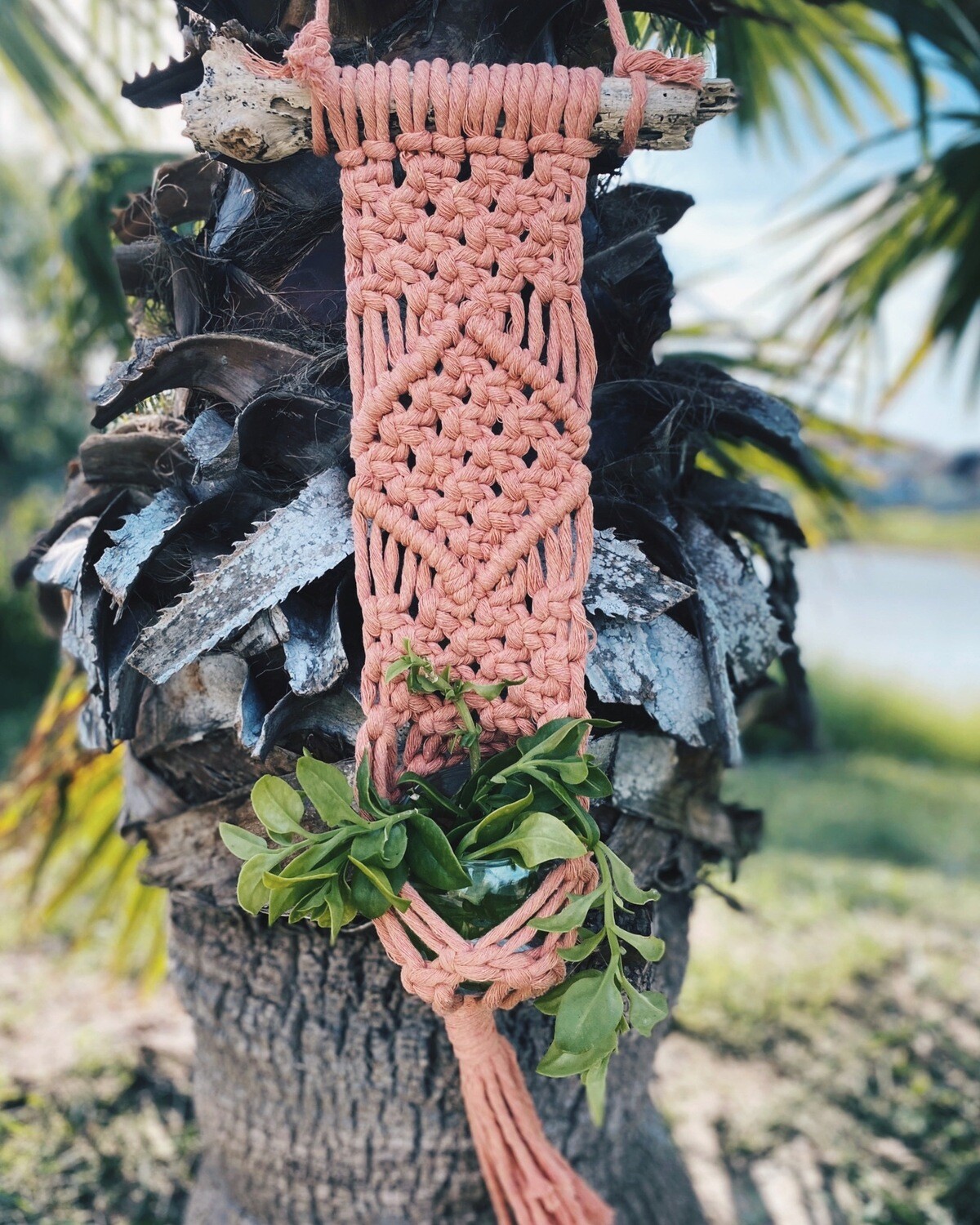 Salmon Wall Hanging Planter