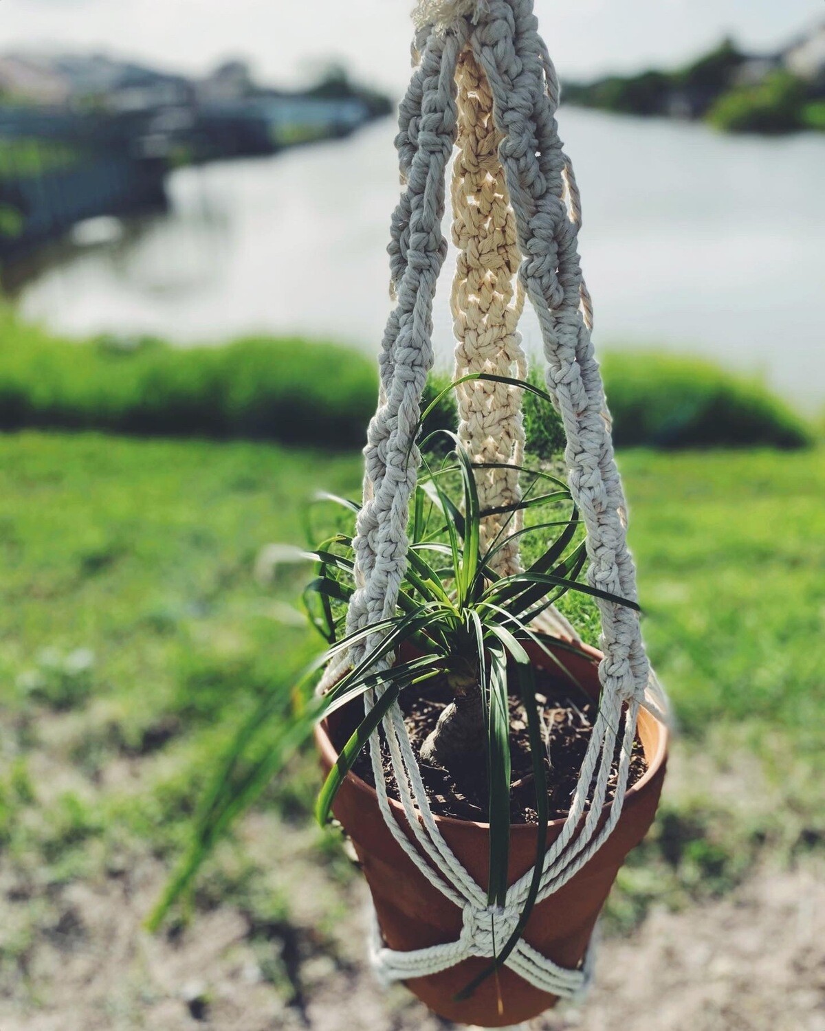 Large Outdoor Planter