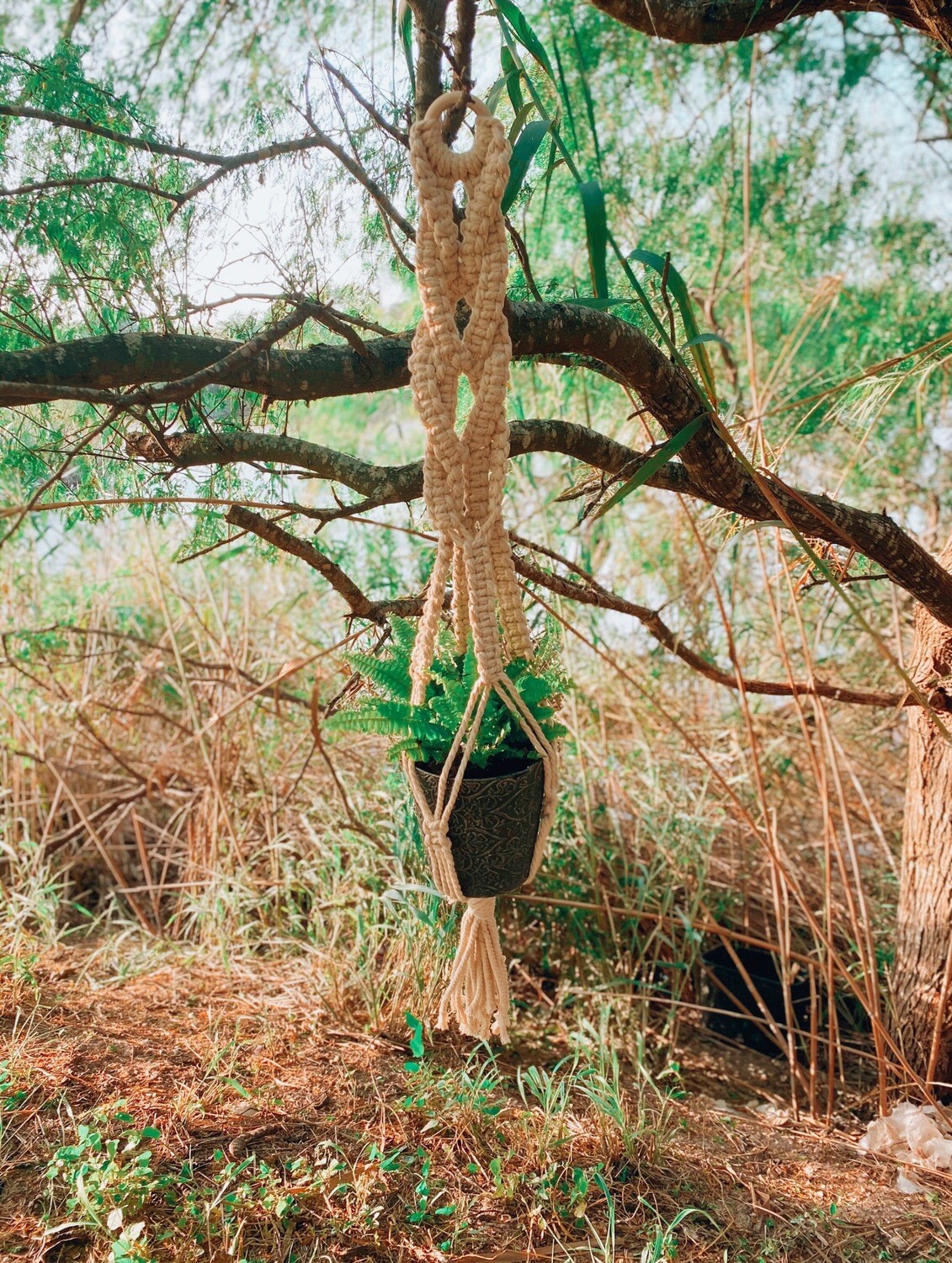 Crisscross Planter