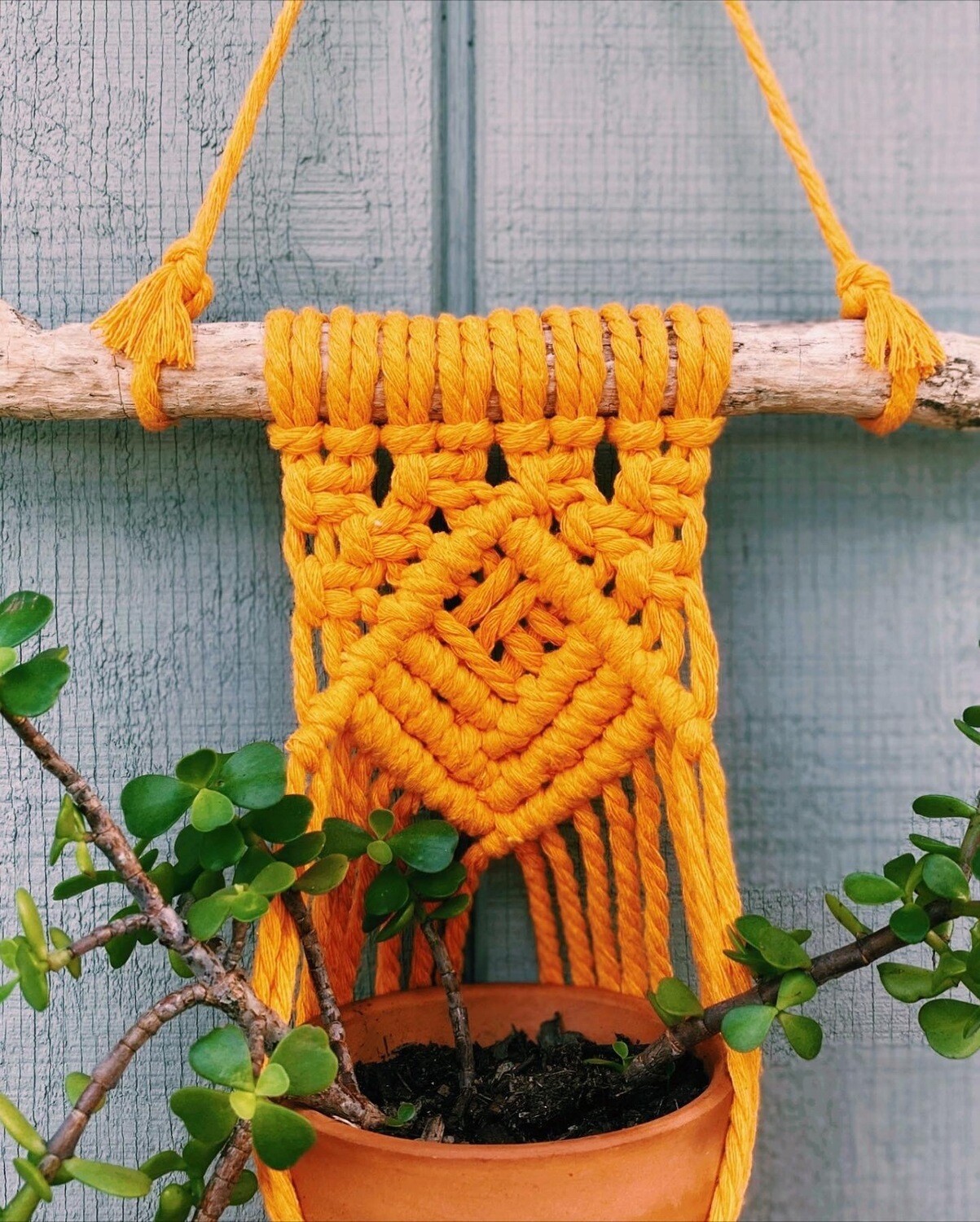 Color Wall Planter