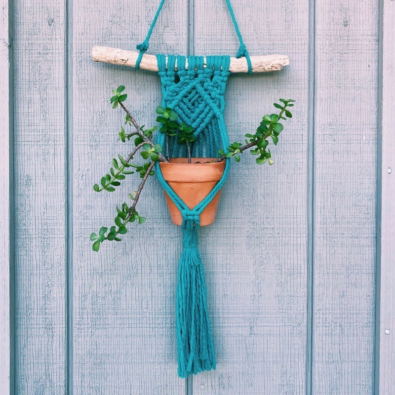 Color Wall Planter