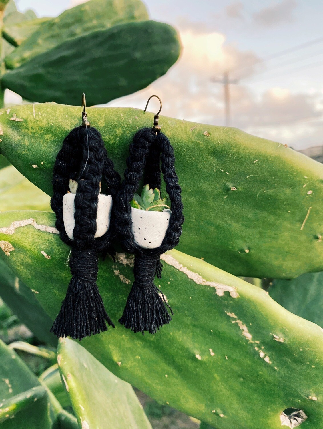 Macrame Succulent Earrings