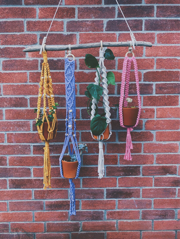 BBBabes Planter Collection