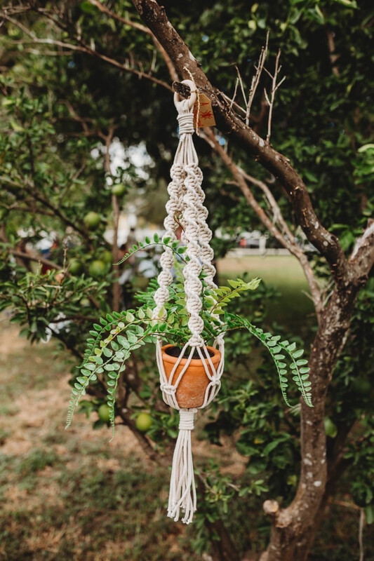Medium planter