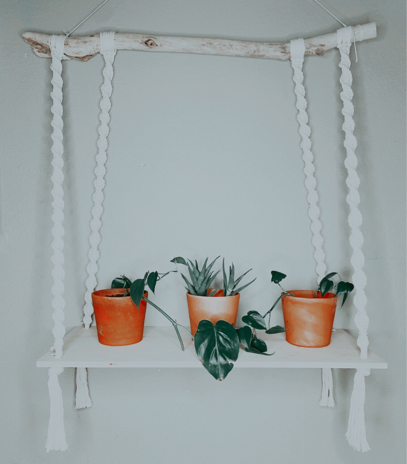 Beachy Shelf