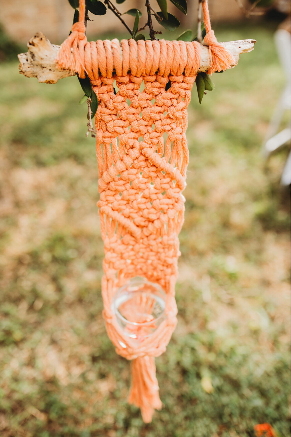 Salmon Wall Hanging Planter