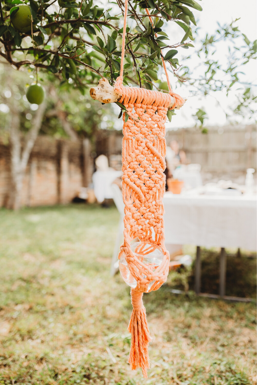Salmon Wall Hanging Planter