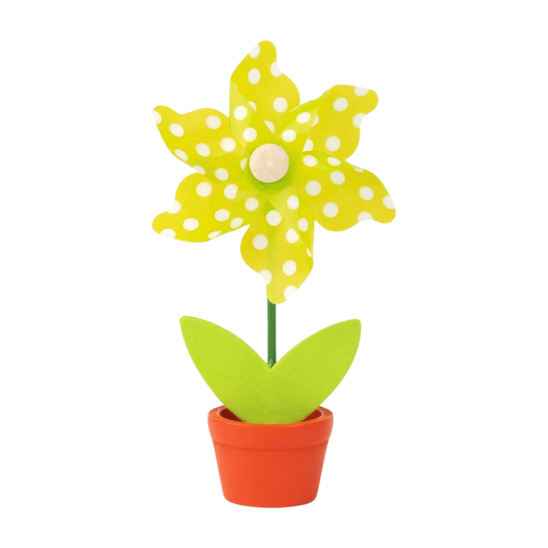 Mini pinwheel in pot, green polka dot, 6 in  12       