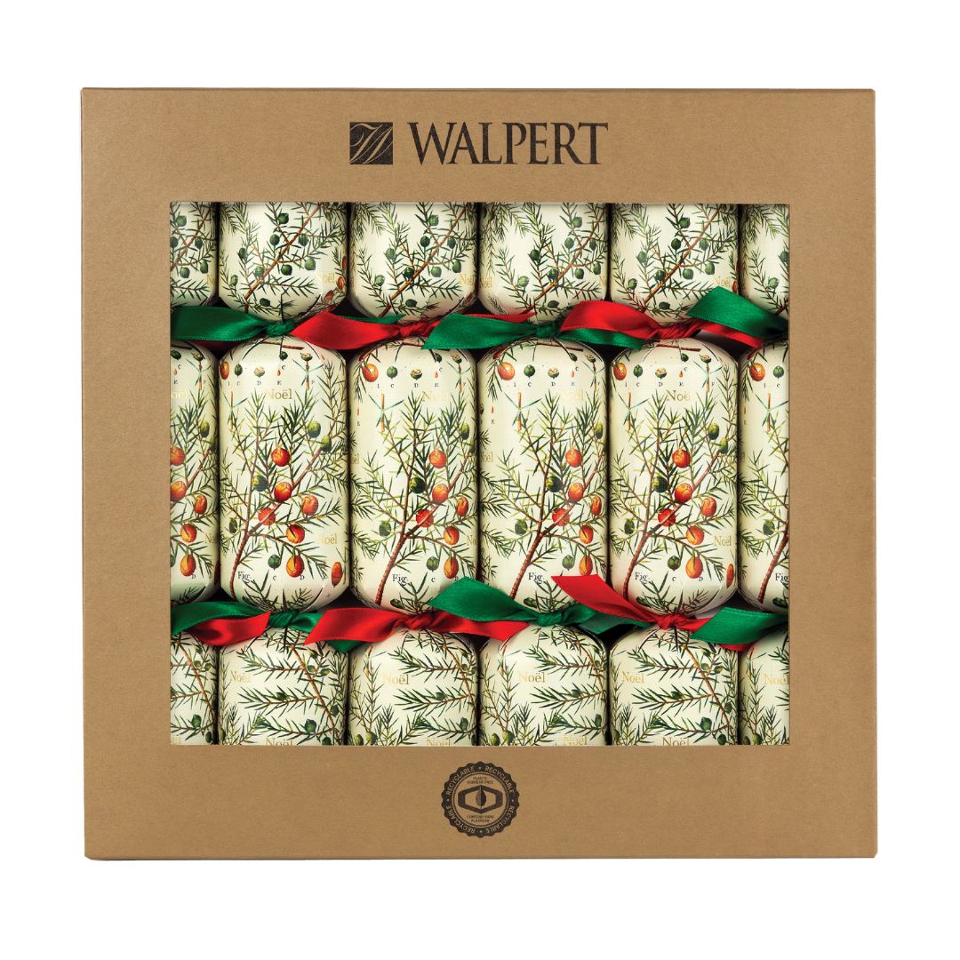 12in 6ct ECO Juniper Berries