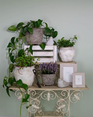 DÉCOR - CEMENT POTS &amp; ACCESSORIES