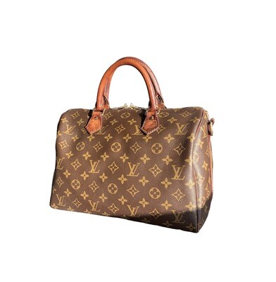 Louis Vuitton Speedy 40 Bandouliere bag and Toiletry pouch 26