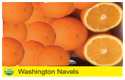Washington Navels