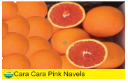 Cara Cara Pink Navels