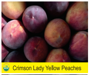 Crimson Lady Yellow Peaches