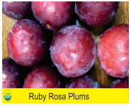 Ruby Rosa Plums