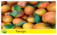 Tango
