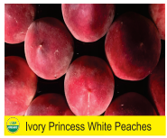 Ivory Princess White Peaches