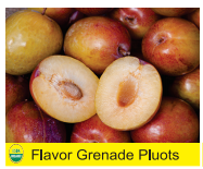 Flavor Grenade Pluots