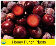 Honey Punch Pluots