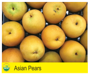 Asian Pears