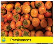 Persimmons