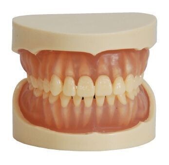 PREMIUM PLUS, (B-SM-SWR) MODEL W/TRANSPARENT & SOFT GUM