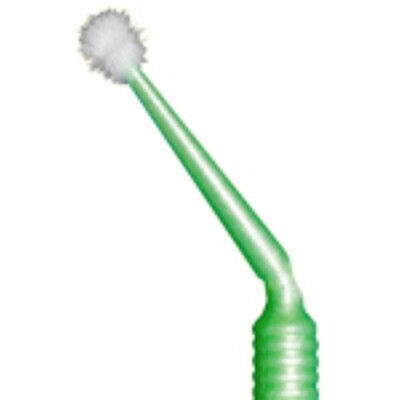 Advantage Arrest, Applicator Brushes, 100/Pack, 100PackArrest