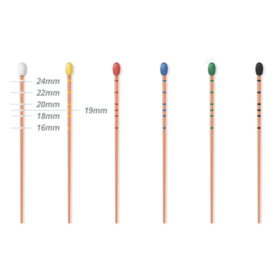Gutta Percha .06 Taper 60/Pk #80