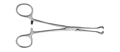 Babcock Tissue Forcep 6.25'', 24-3000