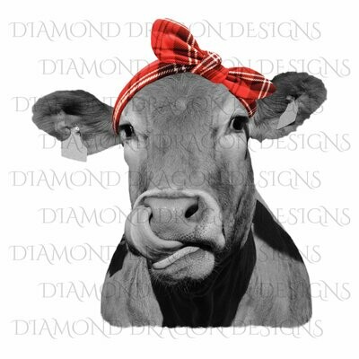 Cows - Heifer, Image, Cute Cow with Red Plaid Bandana, Cowlick, Cow Tongue Out, Waterslide